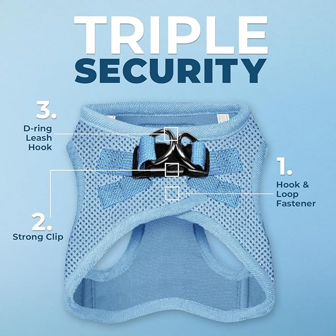 Best Pet Supplies Voyager Step-in Air All Weather Mesh Harness and Reflective Dog 5ft Leash Combo with Neoprene Handle, for Small, Medium and Large Breed Puppies - Set (Baby Blue), Large