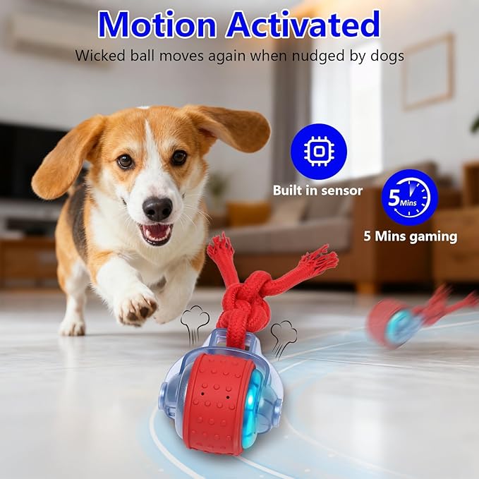 Oxawo Interactive Dog Toys Pet Busy Balls Wiggles Ball for Medium & Small Dogs Keep Dogs Busy