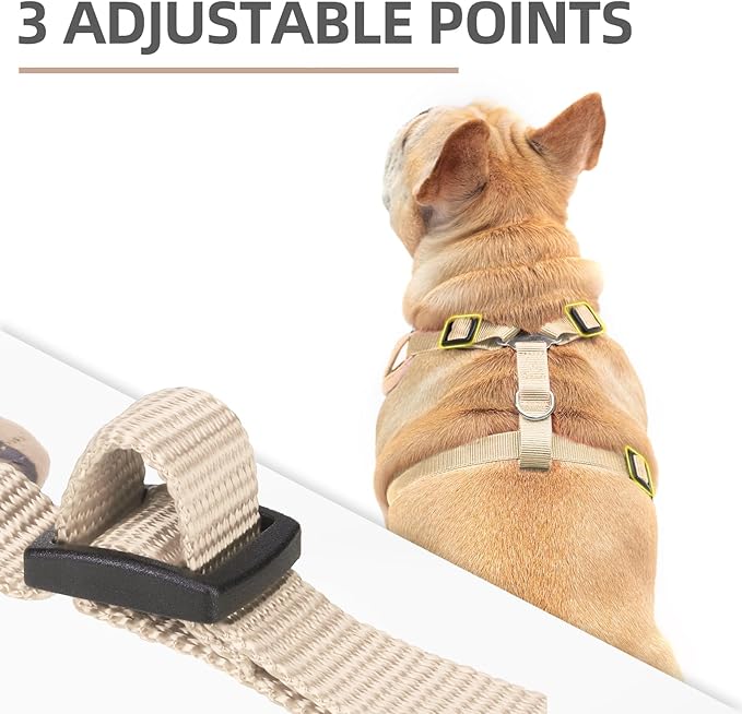 PUPTECK Small Dog Harness and Leash Set, No Pull Adjustable Puppy Cat Harness, Reflective Soft Mesh Pet Vest Small Sized, Khaki, M