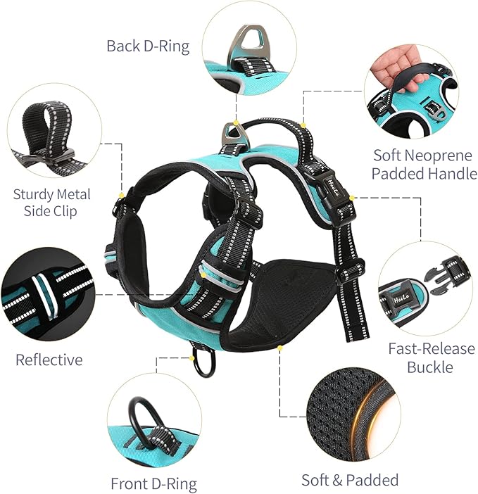 HEELE Dog Harness Dog Harness Small Dog No Pull Harness wiht Soft Handle Reflective Harness Adjustable, Turquoise, S