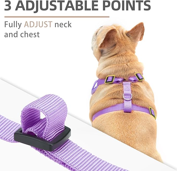 PUPTECK Small Dog Harness and Leash Set, No Pull Adjustable Puppy Cat Harness, Reflective Soft Mesh Pet Vest Small Sized, Daisy, S