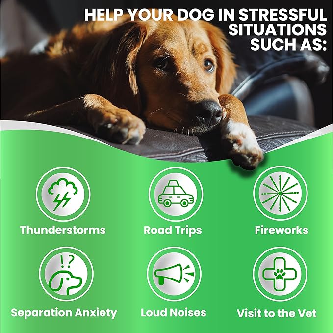 Grateful Pawz Hemp Calming Chews for Dogs - Dog Calming Chews - 170 Anxiety Relief Treats with Hemp Oil - Sleep Aid - Advanced Health Joint Support Supplement - Health & Wellness