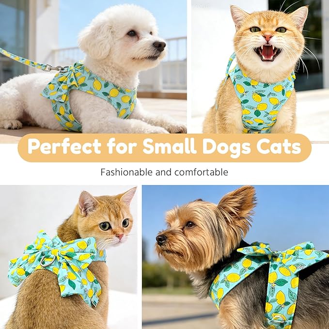 BAEJMJK Dog Harness and Leash Set with Bow Knot No Pull Pet Daisy Floral Harness with D-Ring Soft Mesh Dog Harness Vest Set Escape Proof Princess Puppy Harness for Small Girl Dogs Cats（Green L）