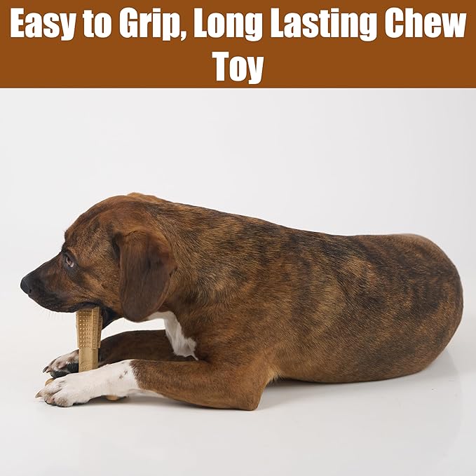 SPOT Bam-Bones Plus Coffee Wood T-Bone Dog Chew Toy, Chicken Flavor, Nylon and Coffee Wood Fiber Blend, Durable Chew for Heavy Chewers and Dogs Under 60 lbs, Non-Splintering Dental Chew, 6 Inch