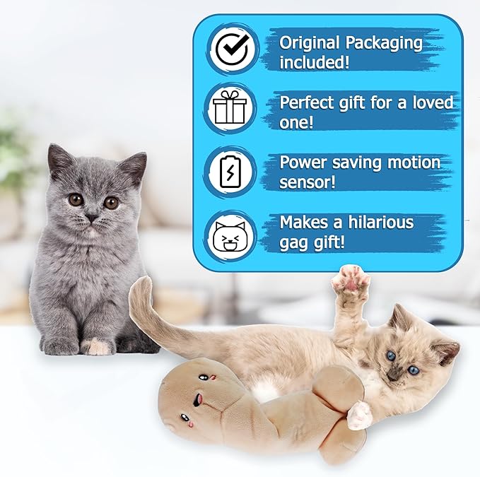 D&J Floppy Buddy Electric Interactive Moving cat Kicker Catnip Toy for Indoor Cats Pets Kittens Dogs