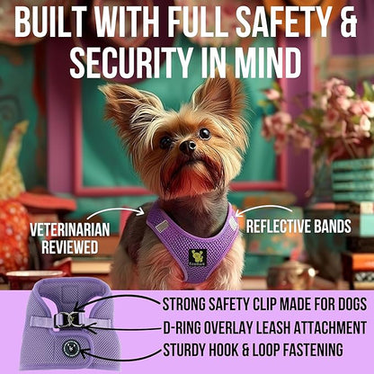 EcoBark Teacup Dog Harness - Step in Luxury Dog Harnesses for Teacup Breed Dogs - Reflective and Adjustable Mini Body Halter Vest -Tiny Soft Mesh Toy Breed Harness (Lavender, XXS)