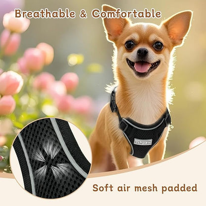 Small Dog Harness and Leash Set, Reflective Soft Breathable Mesh Vest, 3 Buckles, Adjustable Neck and Chest,Step in Dog Harness for Walking, Running, Training, Black, M