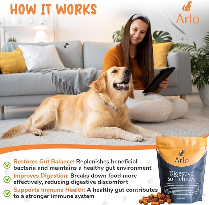 Arlo Pet Dog Digestive Supplement - 60 Soft Chews with Pre and Probiotics, Digestive Enzymes for Dogs, Organic Pet Treat with Vitamin-C, and 2.4B CFU Bacillus Coagulans