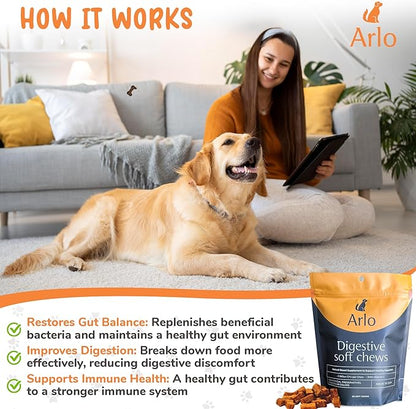 Arlo Pet Dog Digestive Supplement - 60 Soft Chews with Pre and Probiotics, Digestive Enzymes for Dogs, Organic Pet Treat with Vitamin-C, and 2.4B CFU Bacillus Coagulans