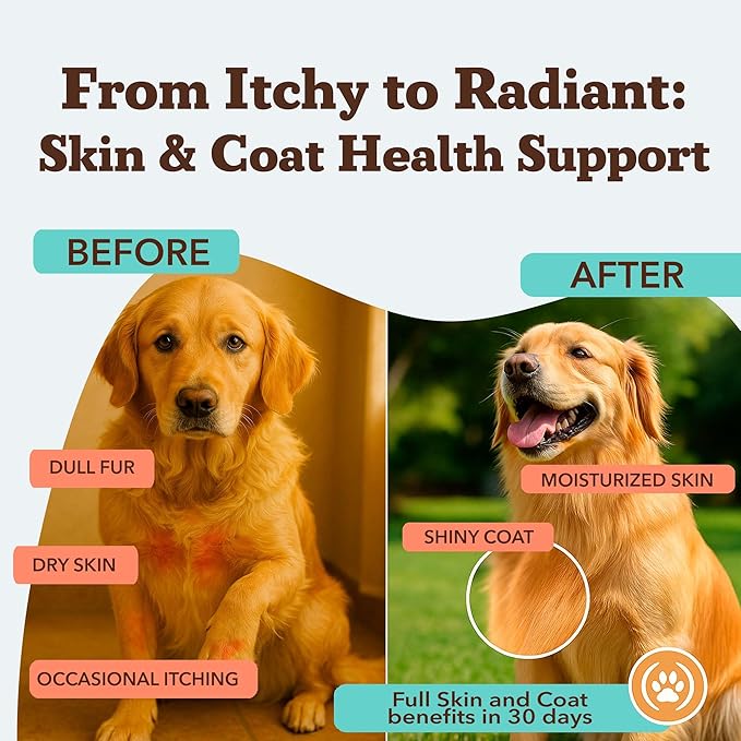 Natural Dog Company Skin & Coat Supplement for Dogs – Omega 3 Salmon Oil, Biotin & Vitamin E Support Shiny Coat, Healthy Skin & Normal Shedding, Promotes Comfort from Occasional Itch, 90 Count