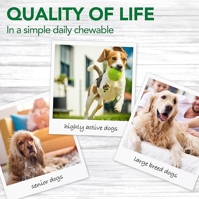 Vet’s Best Aches + Pains Dog Supplement, Vet Formulated for Dog Occasional Discomfort and Hip and Joint Support, 50 Chewable Tablets