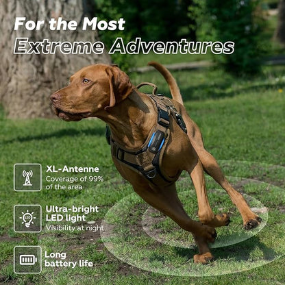 DBDD AI GPS Tracker for Dogs (30lbs+), Real Time Location and AI Health Assistant, Electronic Fence, Waterproof, iOS and Android Universal (D5-Black)