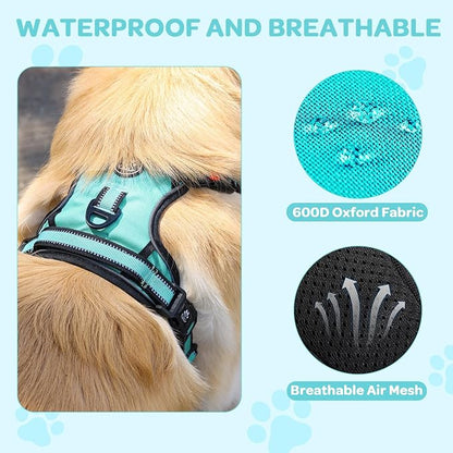 FURRYFECTION Plaid Dog Harness for Small Dogs, Reflective No Pull Adjustable Pet Vest with Front Clip, Leash, Easy Control Handle and Seat Belt, Turquoise, S