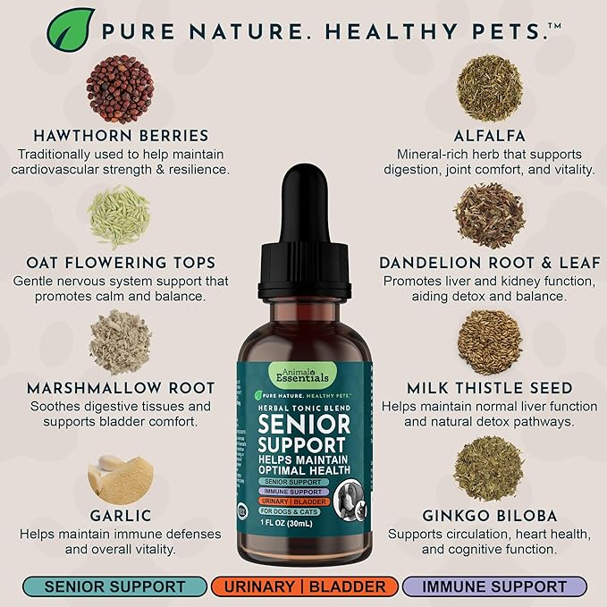 Animal Essentials Senior Support for Dogs & Cats Supplement - Milk Thistle, For Old Cats & Dogs, Pet Kidney Support, Herbal Supplement - 1 Fl Oz