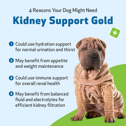 Pet Wellbeing Kidney Support Gold for Dogs - Supports Healthy Kidney Function, Fluid Balance, Energy Levels, Rehmannia, Dong Quai - Veterinarian-Formulated Herbal Supplement 4 oz (118 ml)