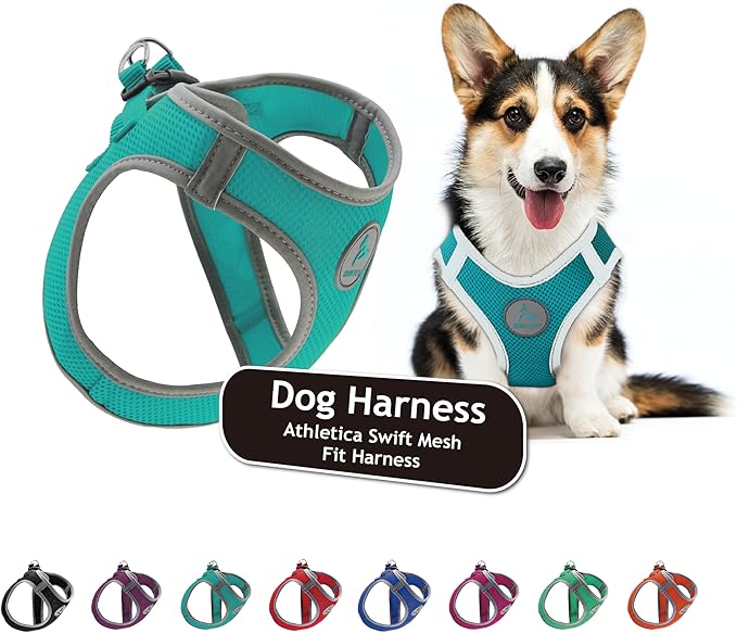 Dog Harness (Chest 14.5"-15.5", Weight 6–10 lbs) Athletica Adjustable Heavy Duty No Choke Puppy Vest for Small Dogs Lightweight Air Mesh, Reflective, Puppy Essentials – Turquoise, Small