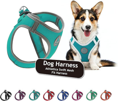 Kruz Dog Harness (Chest 18.5"-19.5", Weight 15–20 lbs) Athletica Adjustable Heavy Duty No Choke Puppy Vest for Small Dogs Lightweight Air Mesh, Reflective, Puppy Essentials – Turquoise, Large