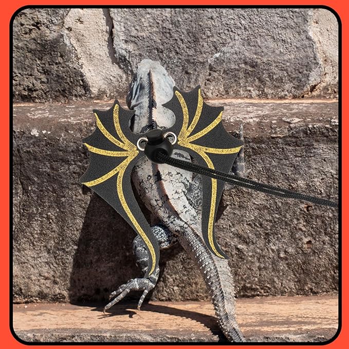 Bearded Dragon Leash and Harness Set 3 Size Pack Adjustable Cool Leather Lizard Leash with Dinosaur Wings for Reptile Safety Walking Accessories, Black