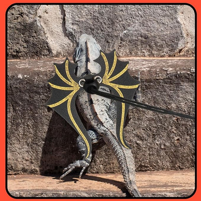 Bearded Dragon Leash and Harness Set 3 Size Pack Adjustable Cool Leather Lizard Leash with Dinosaur Wings for Reptile Safety Walking Accessories, Black