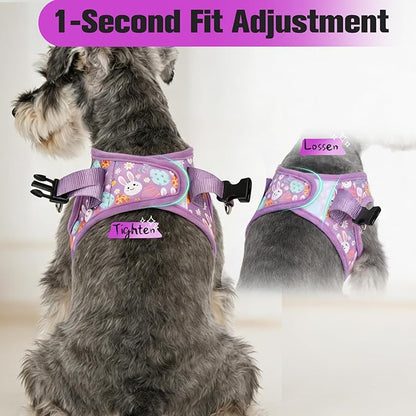 EXPAWLORER Easter Small Dog Harness - Dog Collar and Leash Set - Soft Mesh Padded Adjustable Step in Puppy Vest Harness No Pull, Reflective Escape Proof for Outdoor Walking, Bunny Egg S
