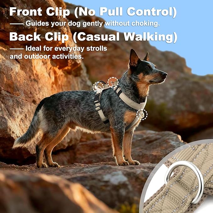 No Pull Dog Harness with Handle, Soft Mesh Padded Adjustable for Small Medium Large Dogs | Reflective Easy Walk Harness with Front Clip for Training, Running & Outdoor (Beige, M)