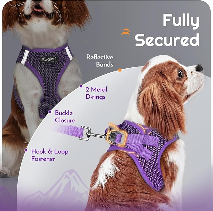 Eagloo Small Dog Harness and Leash Set, Step in Puppy Vest with Breathable Soft Mesh, Walking Reflective Pet Harness for Small Dogs, Purple, M