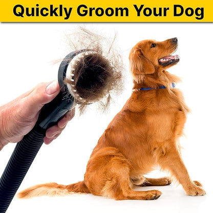 Shop-Vac 9190400 Dog Grooming Tool, 1.25 Inch Diameter, Soft Bristles for Gentle Pet Grooming and Vacuuming, (1-Pack)