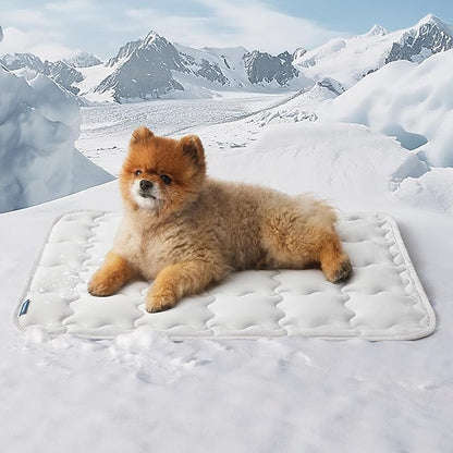 Bedsure Cooling Mat for Small Dog, Q-Max>0.5 Thin Breathable Cold Crate Pad for Puppy and Cat, Portable Washable Kennel Bed for Active Pet with Chill Soothing Fabric to Rapid Cooling, 24x18, Grey