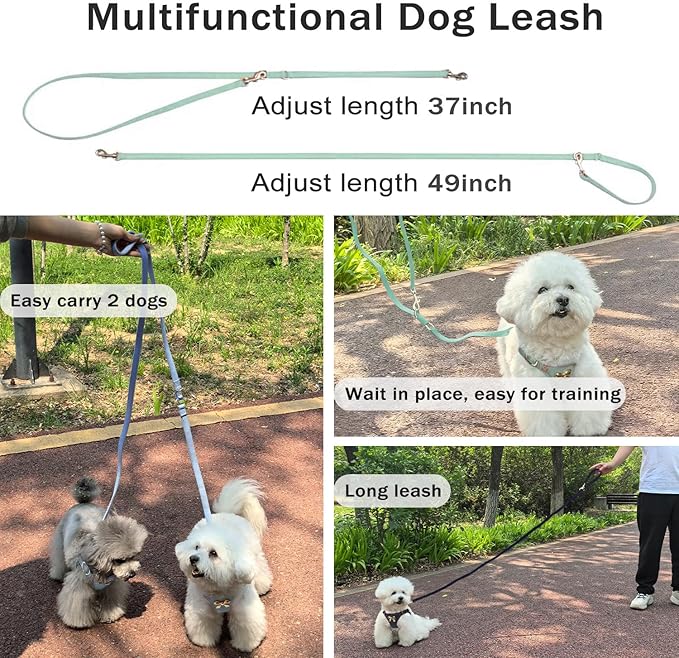 No Pull Dog Harness and Leash Set for Small Sized Dog Training Puppy Harnesses with Multifunction Dog Leash, Soft Adjustable Denim No Choke Escape Proof Pet Harness for Small and Medium Dog (Teal XXS)