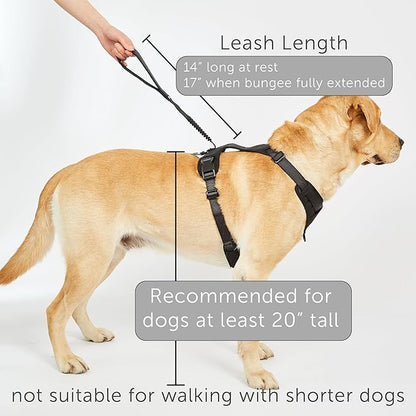 TUG Grab Dog Harness | Integrated Traffic Leash Magnetically Attached for Quick Control (XL/Green)