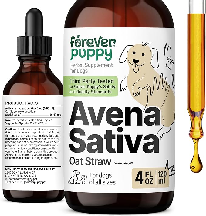 Forever Puppy Avena Sativa Extract for Dogs - Oat Straw Herbal Drops for Calm & Relaxation Support - Pet Composure & Calming Care for Dogs w/Liquid Mood Support Supplement - 4 oz
