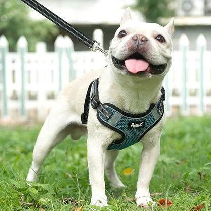 PUPTECK Dog Harness and Leash Set Small Sized, Step in No Pull Adjustable Puppy Cat Harness Reflective Pet Vest