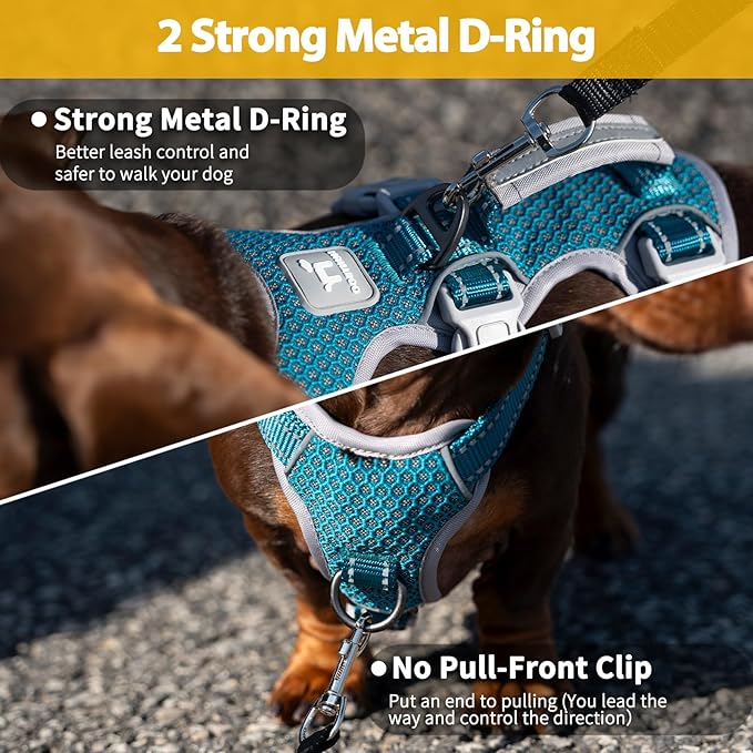 Huntboo Escape Proof Dog Harness, Escape Artist Harness, Fully Reflective Harness with Padded Handle, Breathable,Durable, Adjustable Vest for Medium Dogs Walking, Training, and Running Gear (Teal,XS)