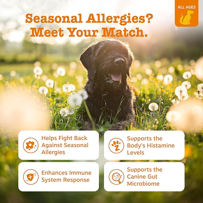 Zesty Paws Allergy Immune Bites - Dog Allergy Chews, Dog Probiotics for Itchy Skin and Ears, Lamb, 250ct