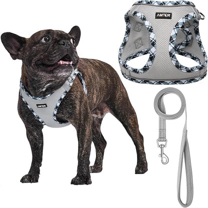 AMTOR Small Dog Harness with Leash Set, No Escape Easy Walk Puppy Harnesses for Training Walking, Step-in Reflective Soft Dogs Vest for XS S Medium Extra-Small Large Sized Dog(Grey, XS)