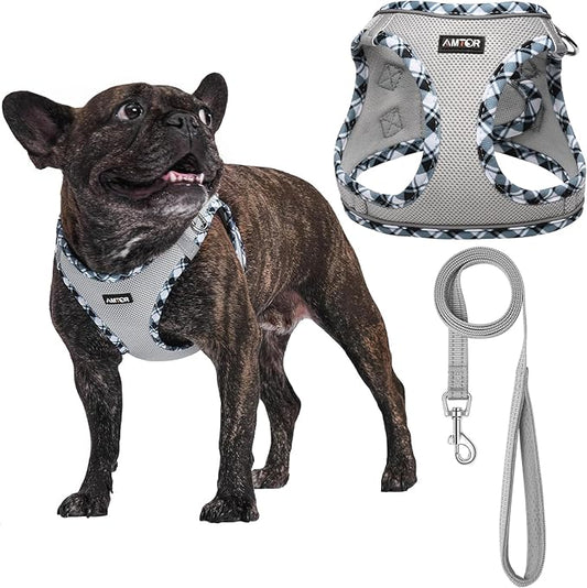 AMTOR Small Dog Harness with Leash Set, No Escape Easy Walk Puppy Harnesses for Training Walking, Step-in Reflective Soft Dogs Vest for XS S Medium Extra-Small Large Sized Dog(L,Grey)