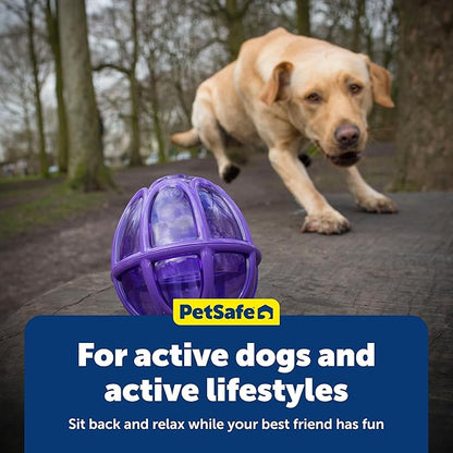 PetSafe Busy Buddy Kibble Nibble Dog Toy - Encourages Natural Instinct Feeding - Patented Treat Meter Design - Rubber Bumpers - Interactive Slow Feeder Ball - Purple - Large