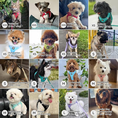 BELLA & PAL Step in Vest Harness for Small and Medium Dogs, No Pull Small Dog Harness with Leash Set, Comfortable Air Mesh Dog Vest Harness with Reflective Strip (Avocado Green, XXS)