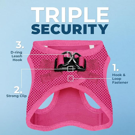 Best Pet Supplies Voyager Step-in Air All Weather Mesh Harness and Reflective Dog 5ft Leash Combo with Neoprene Handle, for Small, Medium and Large Breed Puppies - Set (Fuchsia), Small