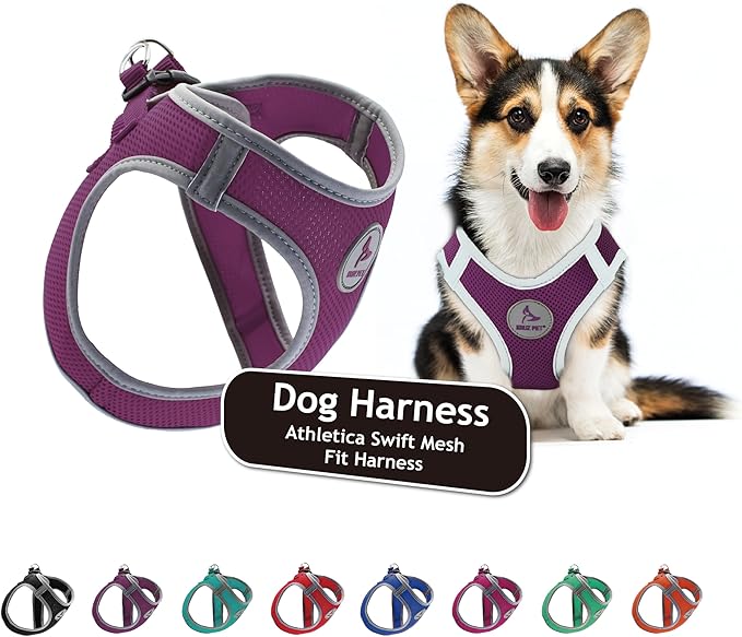 Kruz Dog Harness (Chest 20.5"-22", Weight 20–25 lbs) Athletica Adjustable Heavy Duty No Choke Puppy Vest for Small Dogs Lightweight Air Mesh, Reflective, Puppy Essentials – Amethyst, X-Large