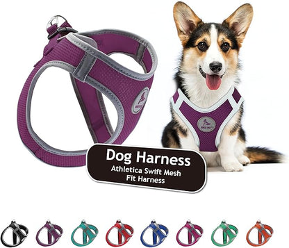 Kruz Dog Harness (Chest 18.5"-19.5", Weight 15–20 lbs) Athletica Adjustable Heavy Duty No Choke Puppy Vest for Small Dogs Lightweight Air Mesh, Reflective, Puppy Essentials – Amethyst, Large