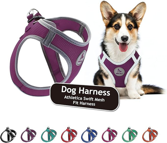 Kruz Dog Harness (Chest 18.5"-19.5", Weight 15–20 lbs) Athletica Adjustable Heavy Duty No Choke Puppy Vest for Small Dogs Lightweight Air Mesh, Reflective, Puppy Essentials – Amethyst, Large
