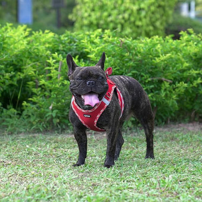 AMTOR Small Dog Harness with Leash Set, No Escape Easy Walk Puppy Harnesses for Training Walking, Step-in Reflective Soft Dogs Vest for XS S Medium Extra-Small Large Sized Dog(M Size,Red/White)