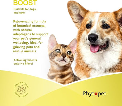 Phytopet Boost | 30ml | 100% Natural Herbal Remedy | Promotes Stamina, Recovery, Wellbeing | For Dogs, Cats, Birds, Horses, Pets |