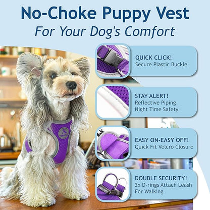 Kruz Dog Harness (Chest 13.5"-14", Weight 4–6 lbs) Athletica Adjustable Heavy Duty No Choke Puppy Vest for Small Dogs Lightweight Air Mesh, Reflective, Puppy Essentials – Amethyst, X-Small