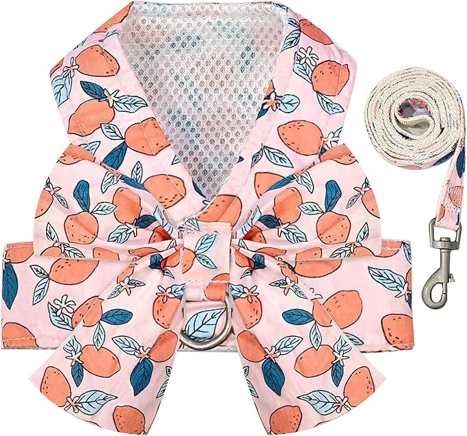 BAEJMJK Dog Harness and Leash Set with Bow Knot No Pull Pet Floral Harness with D-Ring Soft Mesh Dog Harness Vest Set Escape Proof Princess Puppy Harness for Small Girl Dogs Cats（Orange M）