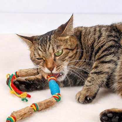 IUHKBH Cat Rope Toy, 2 PCS Colorful Chew Ropes with Silvervine Sticks and Refillable Natural Catnip Bag for Teeth Cleaning Safe Interactive Toy for Indoor Cat Kitten