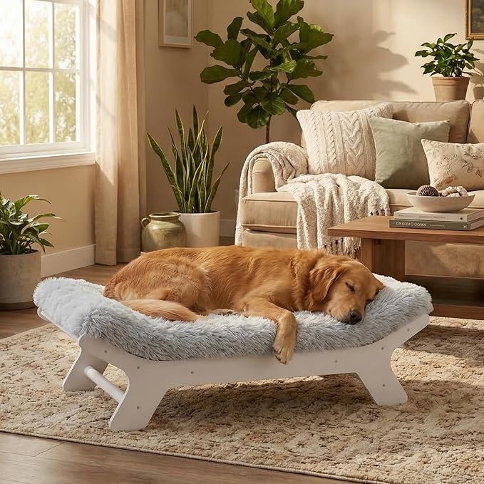 Muihood Wood Elevated Dog Bed Frame and Egg Crate Foam Mattress, Luxurious Suitable for Pets Up to 80 lbs, White, L