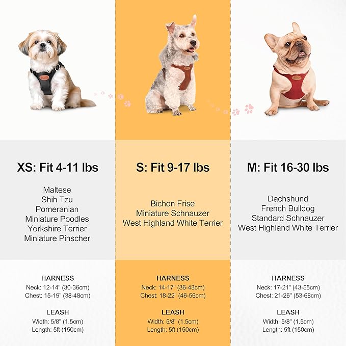 Beirui ‌Stylish PU Leather Dog Harness‌ and Leash Set for Small Dogs, ‌Adjustable Step in Dog Vest Harness with Breathable Mesh Lining and Durable Metal Buckle for Walking Traveling(Black,S)