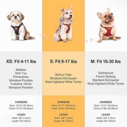 Beirui ‌Stylish PU Leather Dog Harness‌ and Leash Set for Small Dogs, ‌Adjustable Step in Dog Vest Harness with Breathable Mesh Lining and Durable Metal Buckle for Walking Traveling(Hot Pink,S)